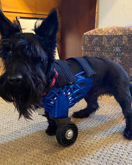 Wheel Attachment (For Full-Limb Prosthesis)