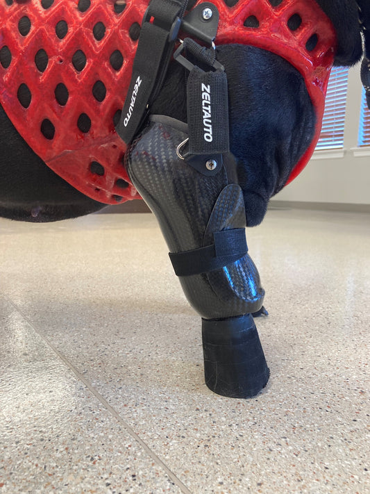 Suspended Partial Limb Prosthetic
