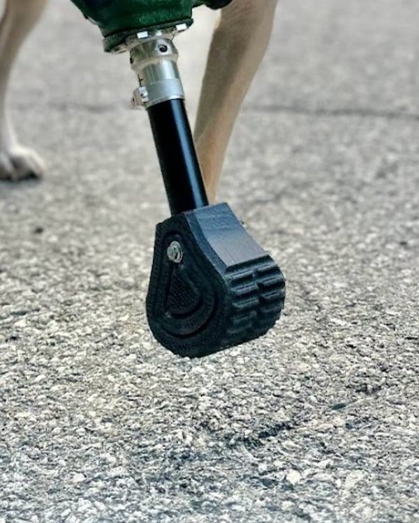 Shock Absorbing Foot (Replacement) – 3DPets