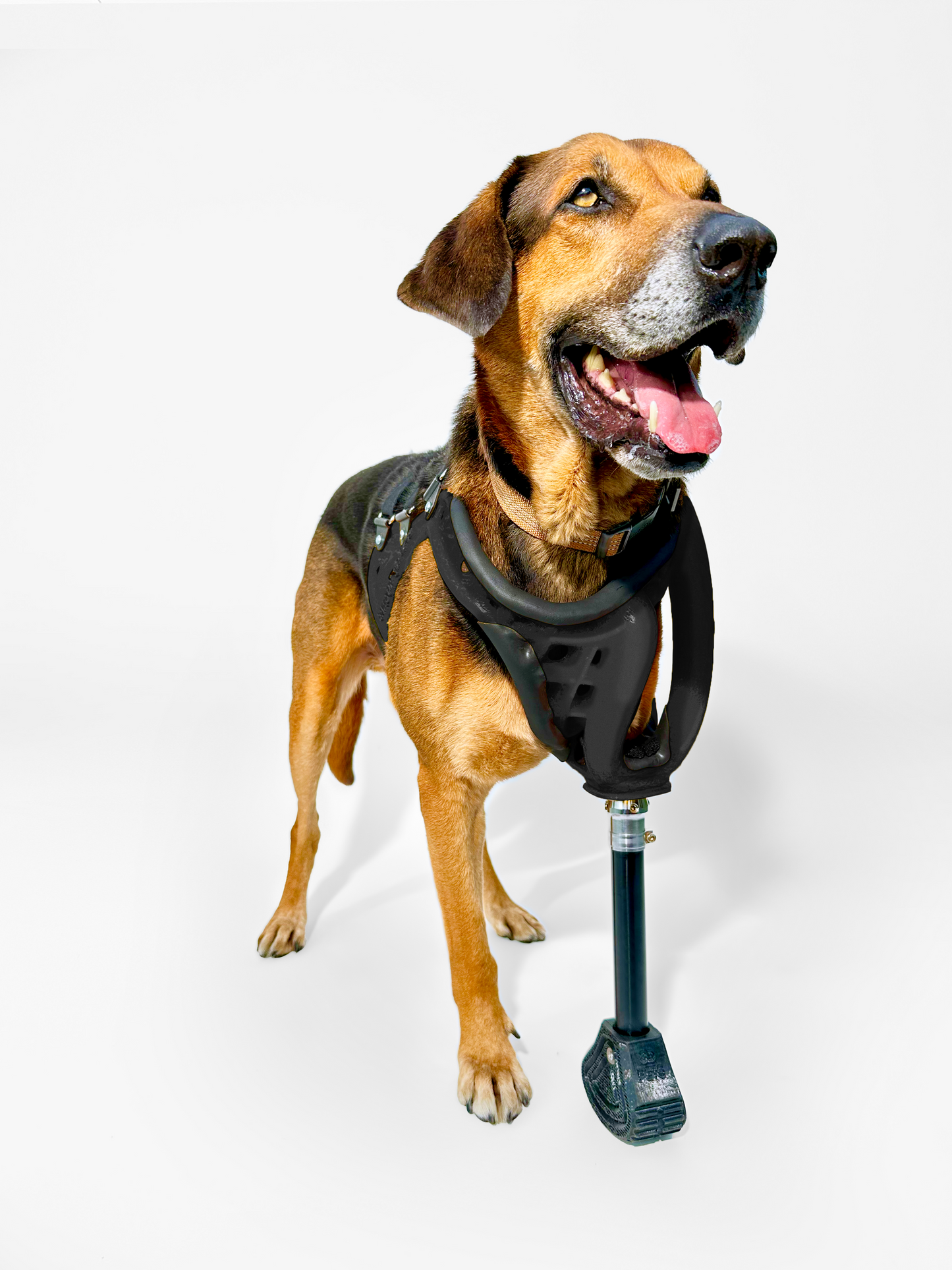 Full-Limb Prosthetic (WITH Shoulder or Remaining Limb)