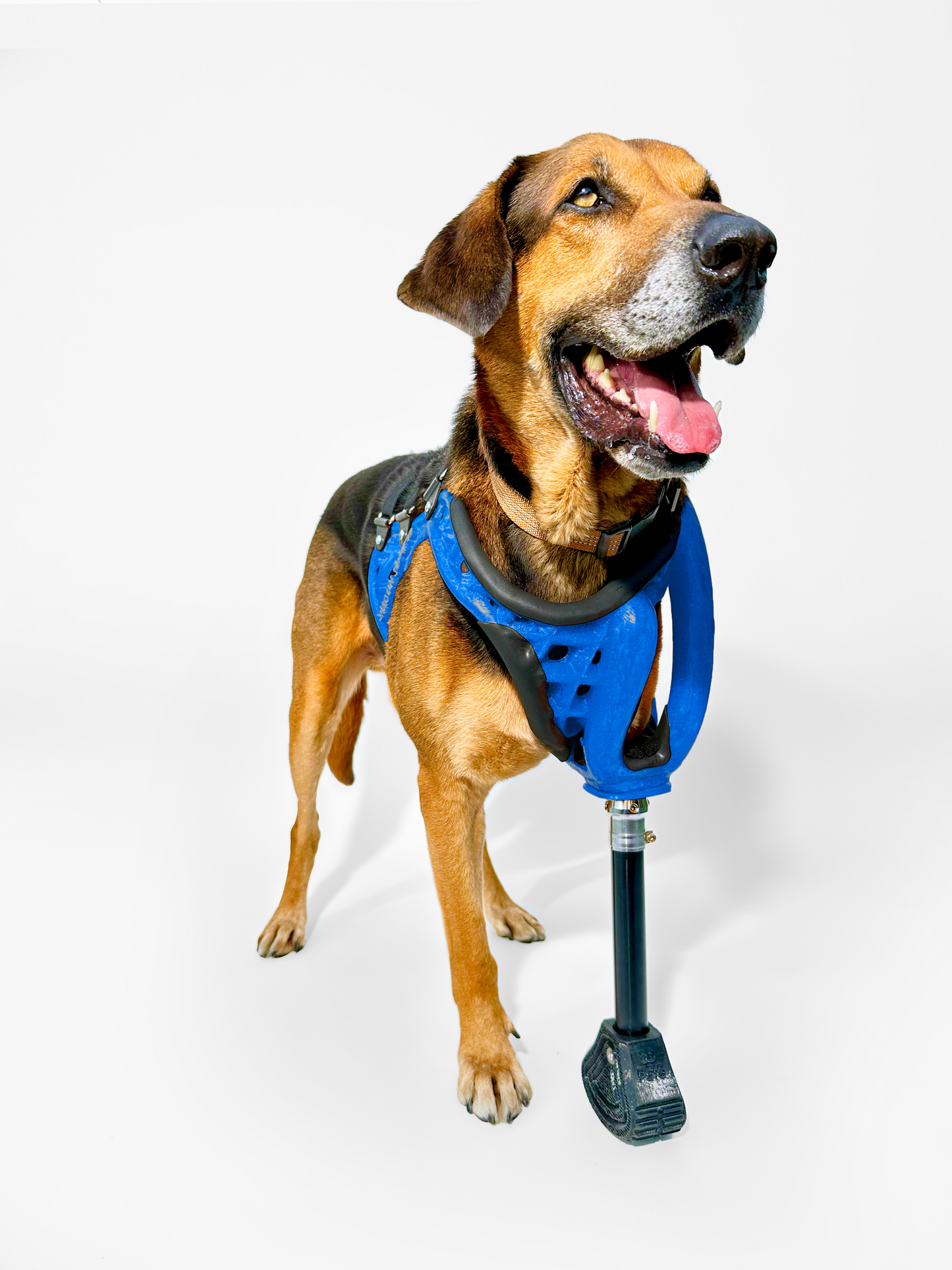 Full-Limb Prosthetic (WITH Shoulder or Remaining Limb)