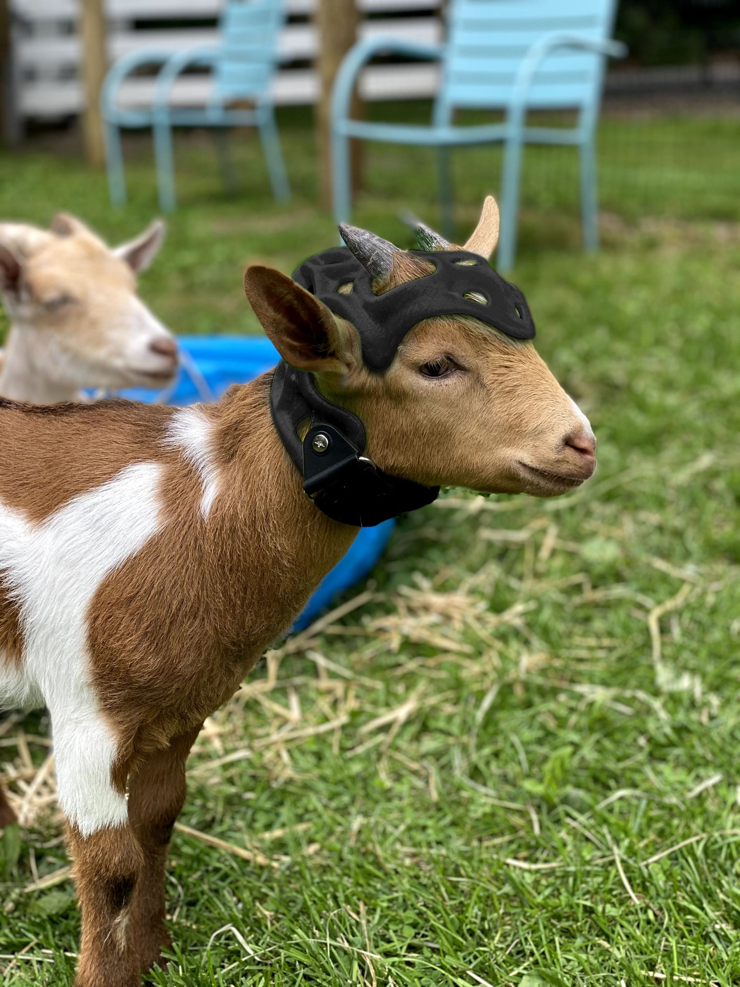 Custom Cranial Helmet