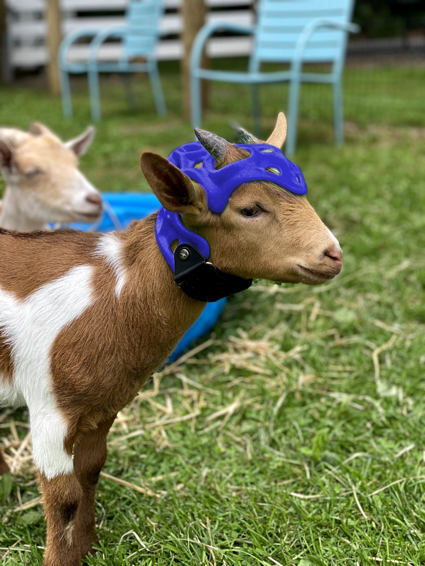 Custom Cranial Helmet