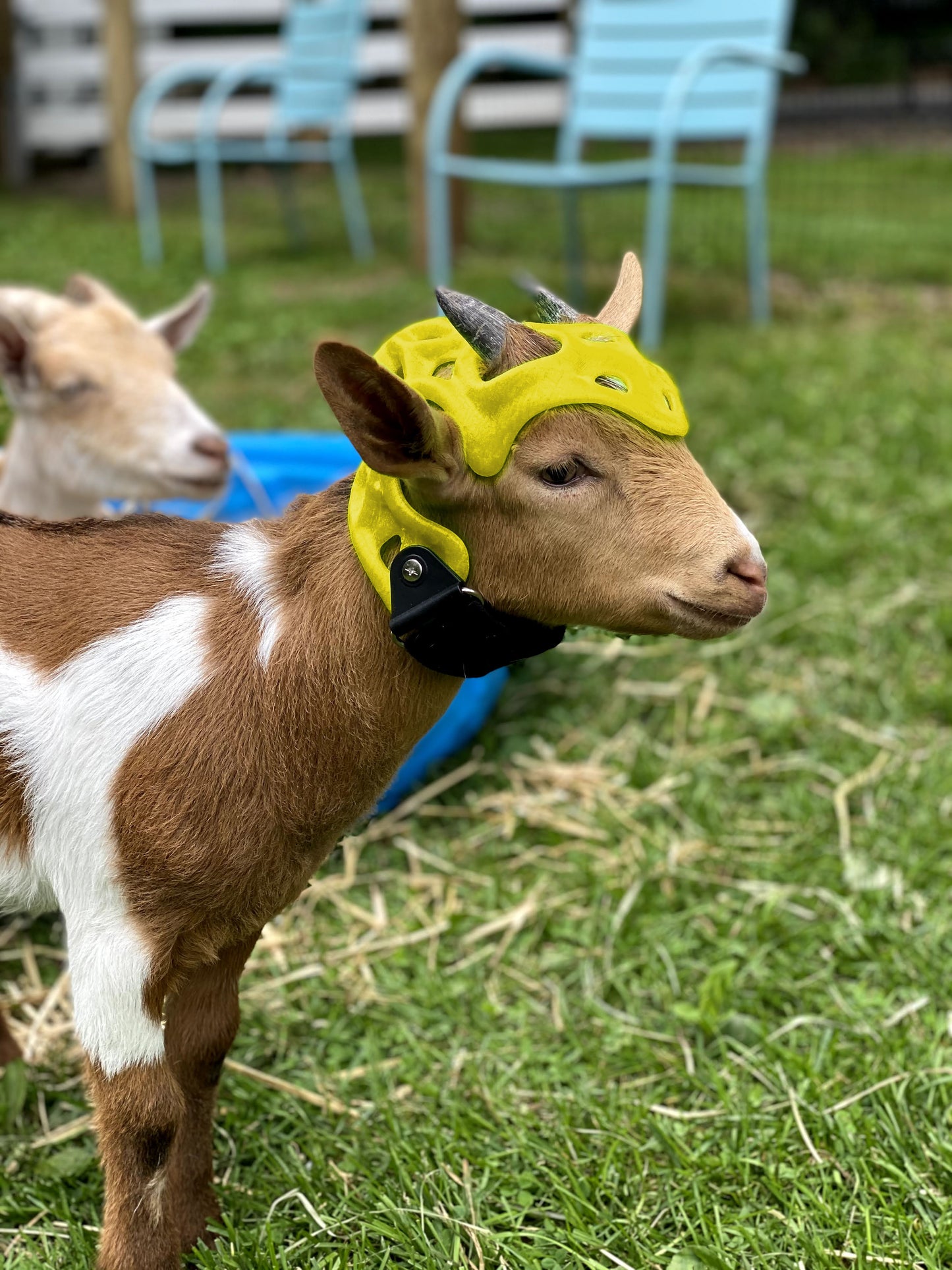 Custom Cranial Helmet