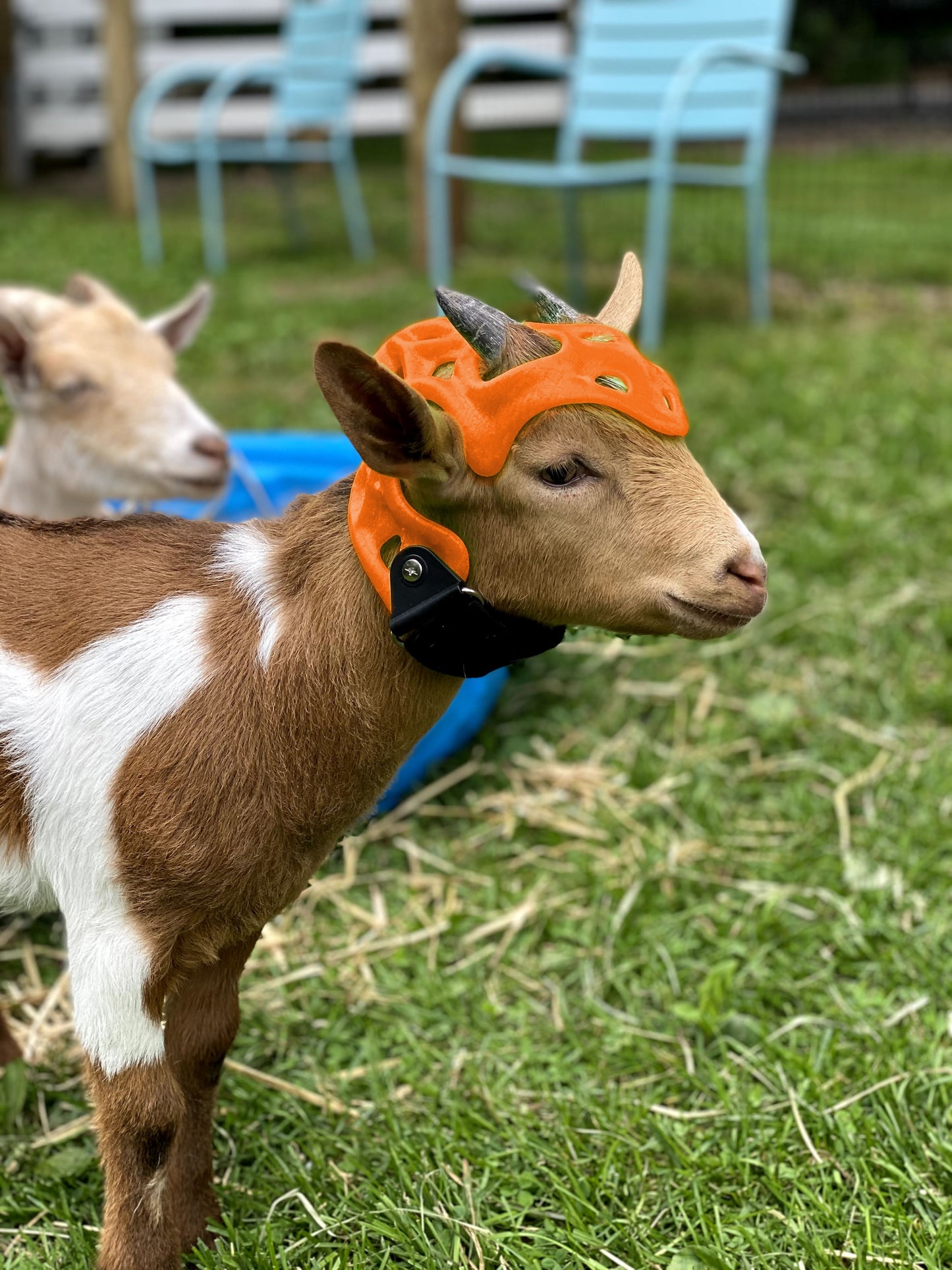 Custom Cranial Helmet