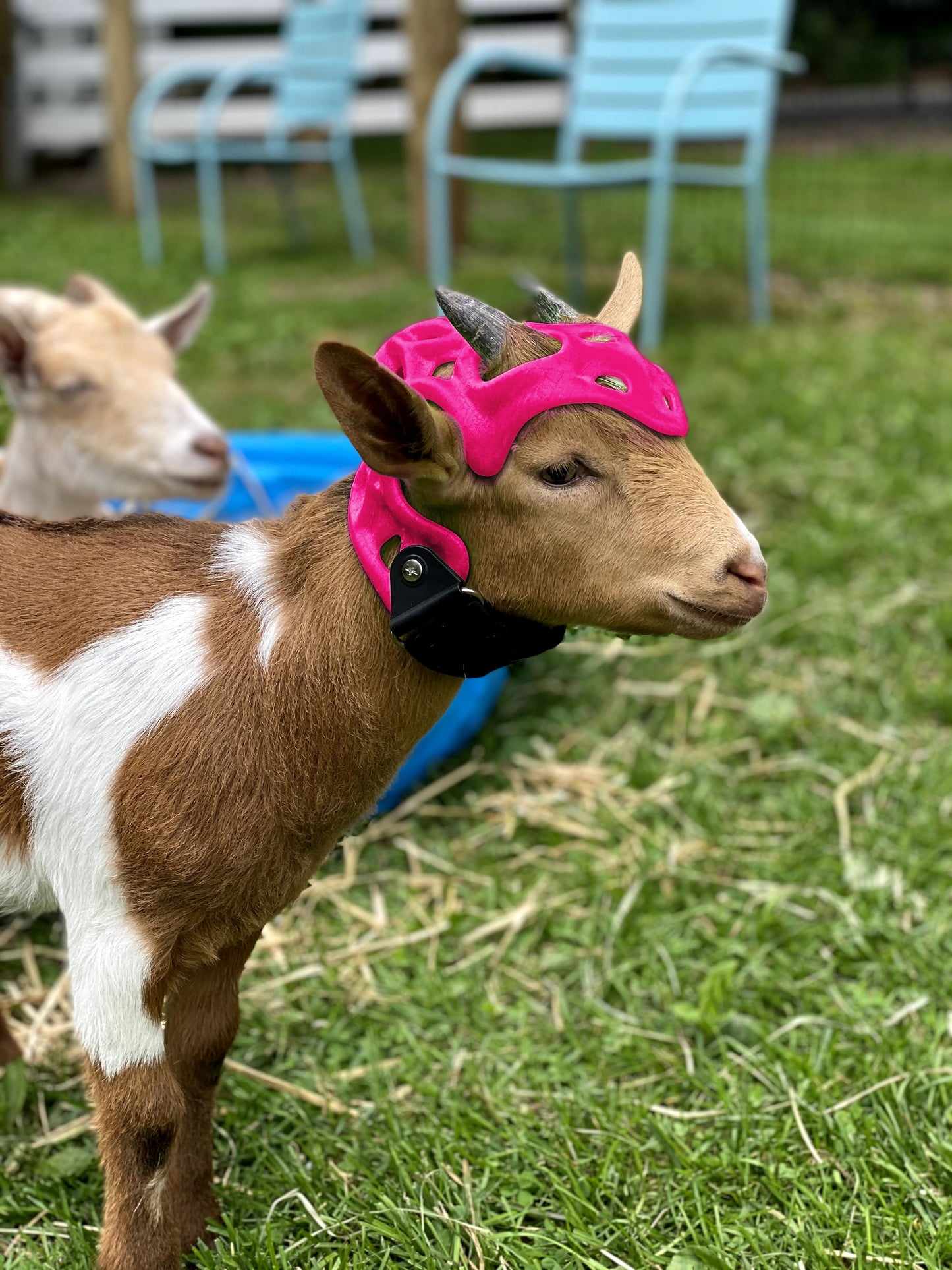Custom Cranial Helmet