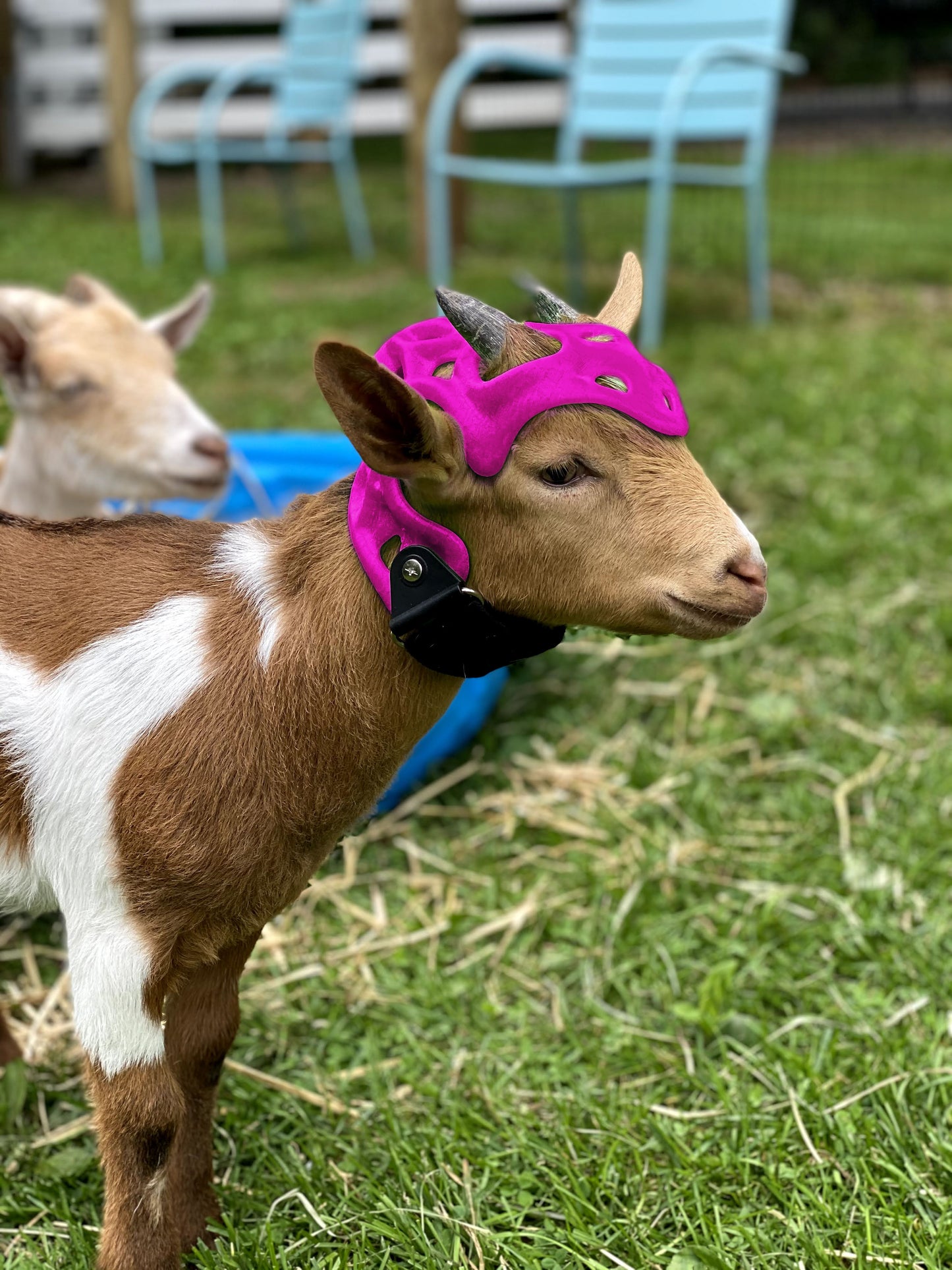 Custom Cranial Helmet