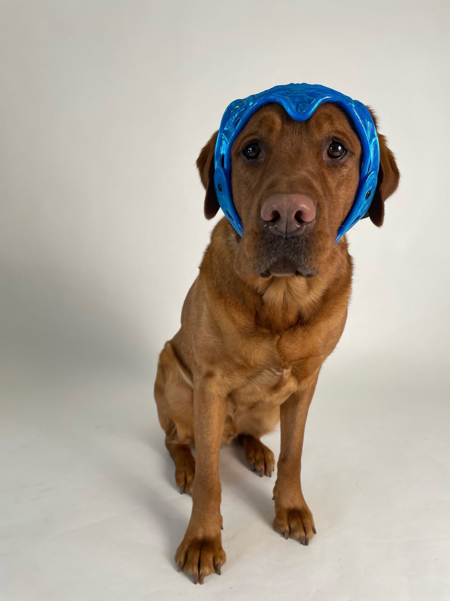 Custom Cranial Helmet