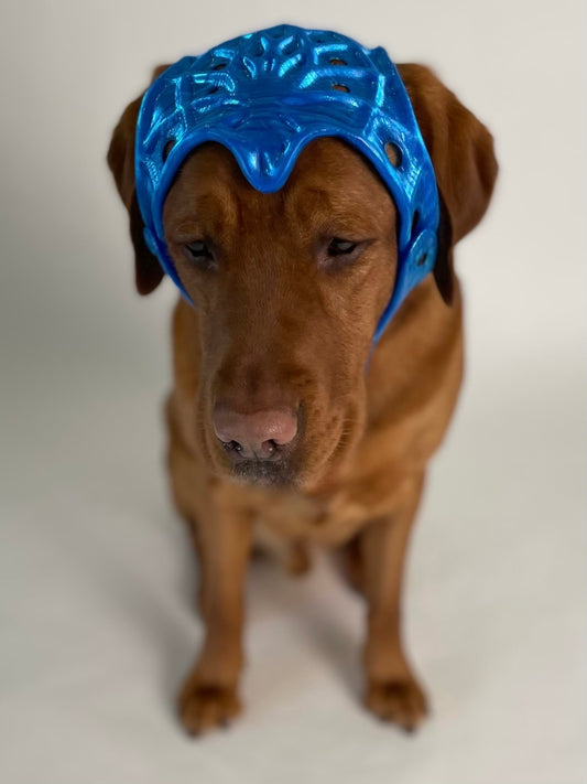 Custom Cranial Helmet