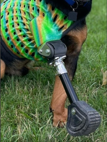 Elbow Joint PRE-ORDER