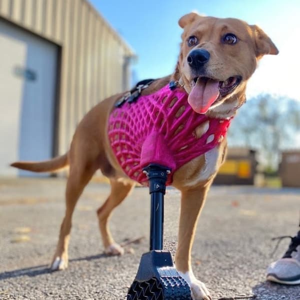 Full-Limb Prosthetic (NO-Nub/Shoulder) - Vendor Tier 3