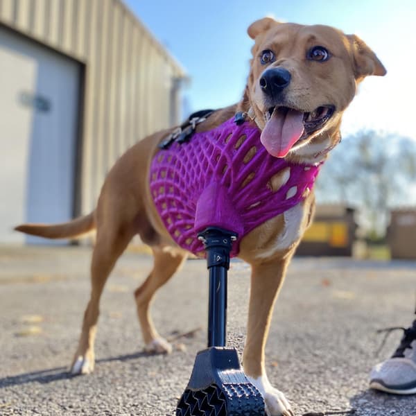 Full-Limb Prosthetic (NO-Nub/Shoulder) - Vendor Tier 3