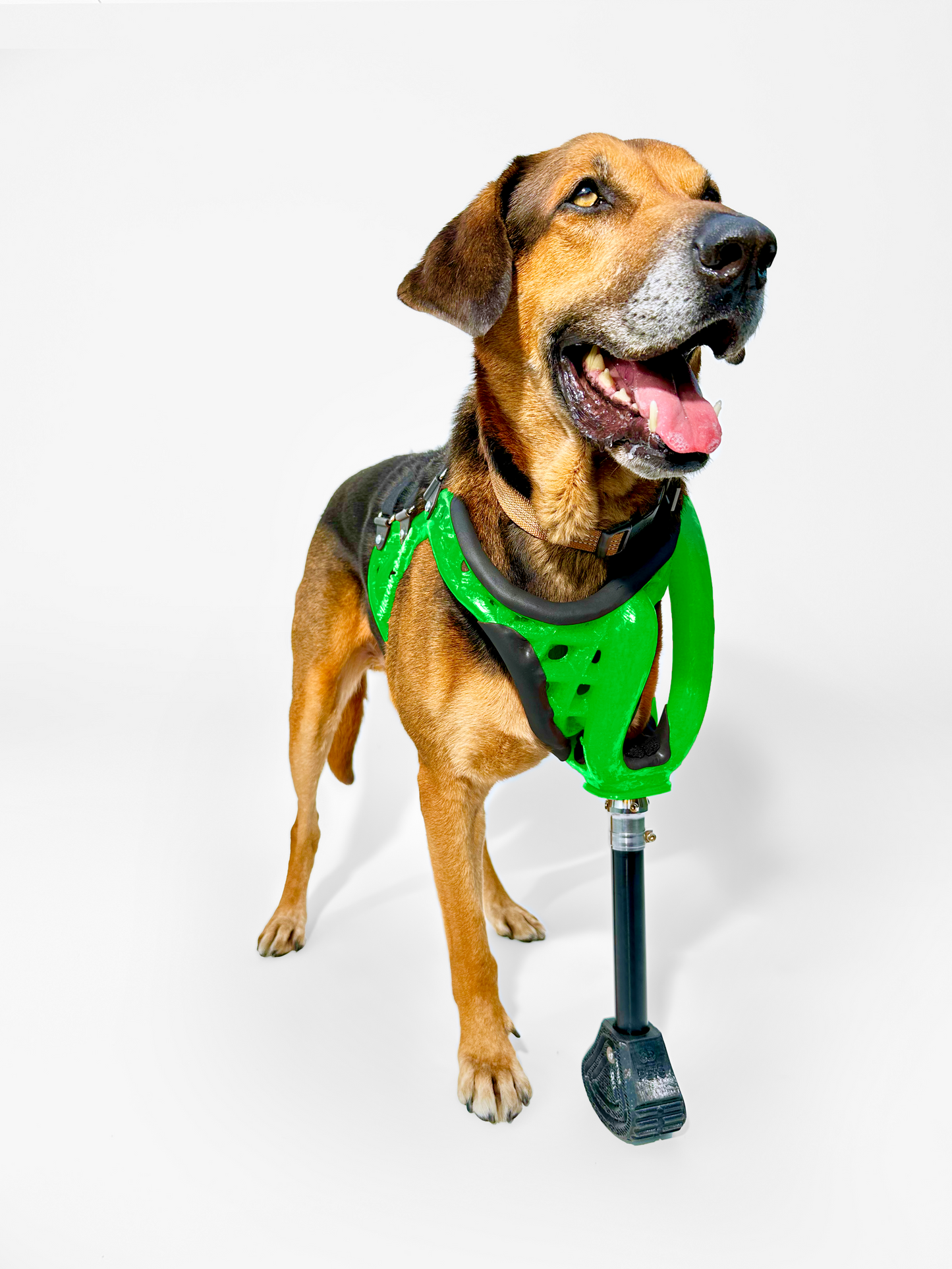 Full-Limb Prosthetic (WITH Shoulder or Remaining Limb)