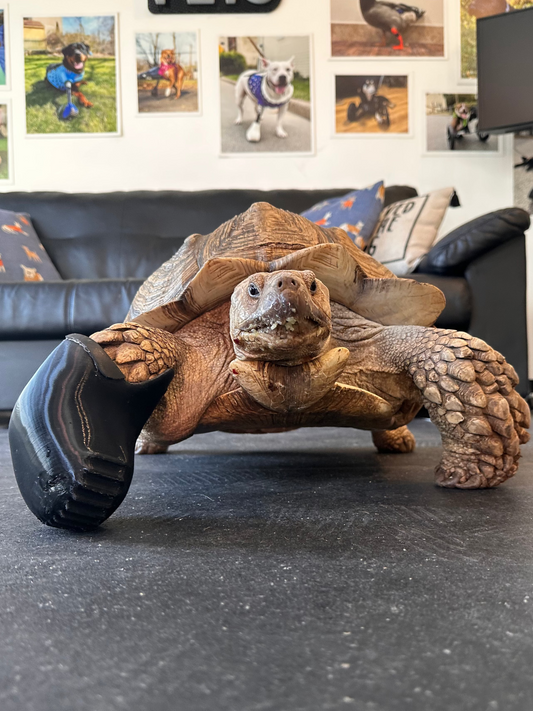 Partial Limb Prosthetic