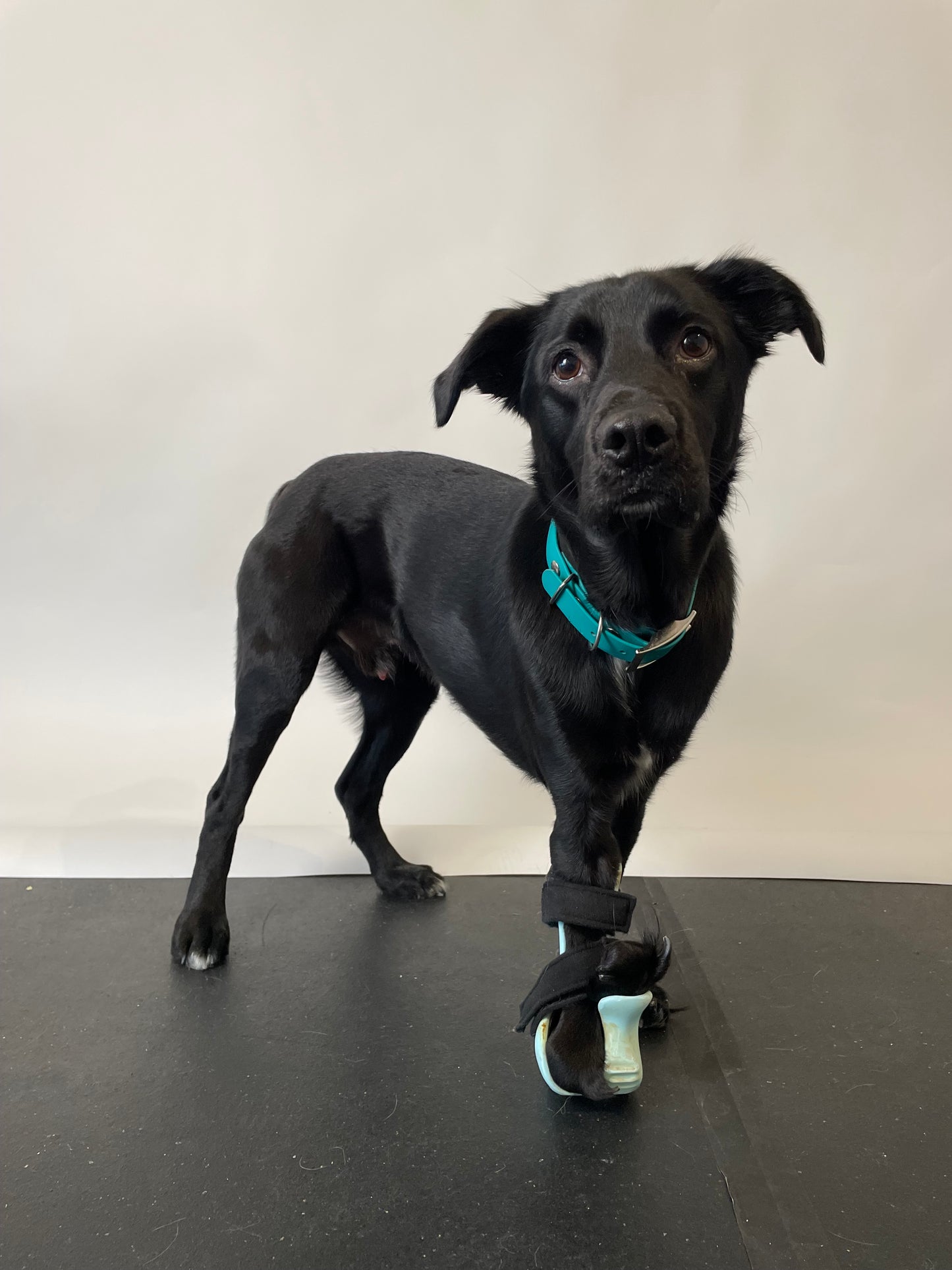 Partial Limb Prosthetic