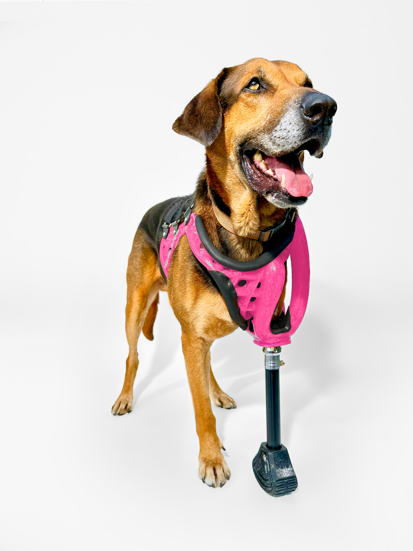 Full-Limb Prosthetic (WITH Shoulder or Remaining Limb)