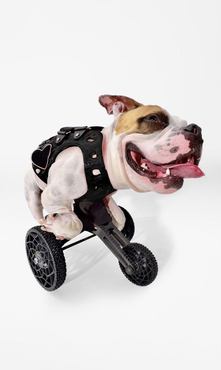 Small Carts (10" or Shorter from Chest to the Ground)