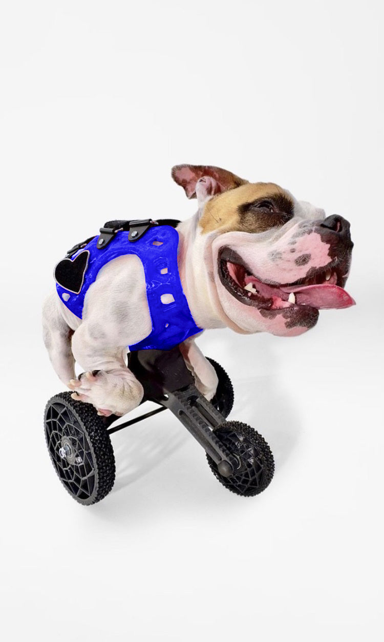 Small Carts (10" or Shorter from Chest to the Ground)