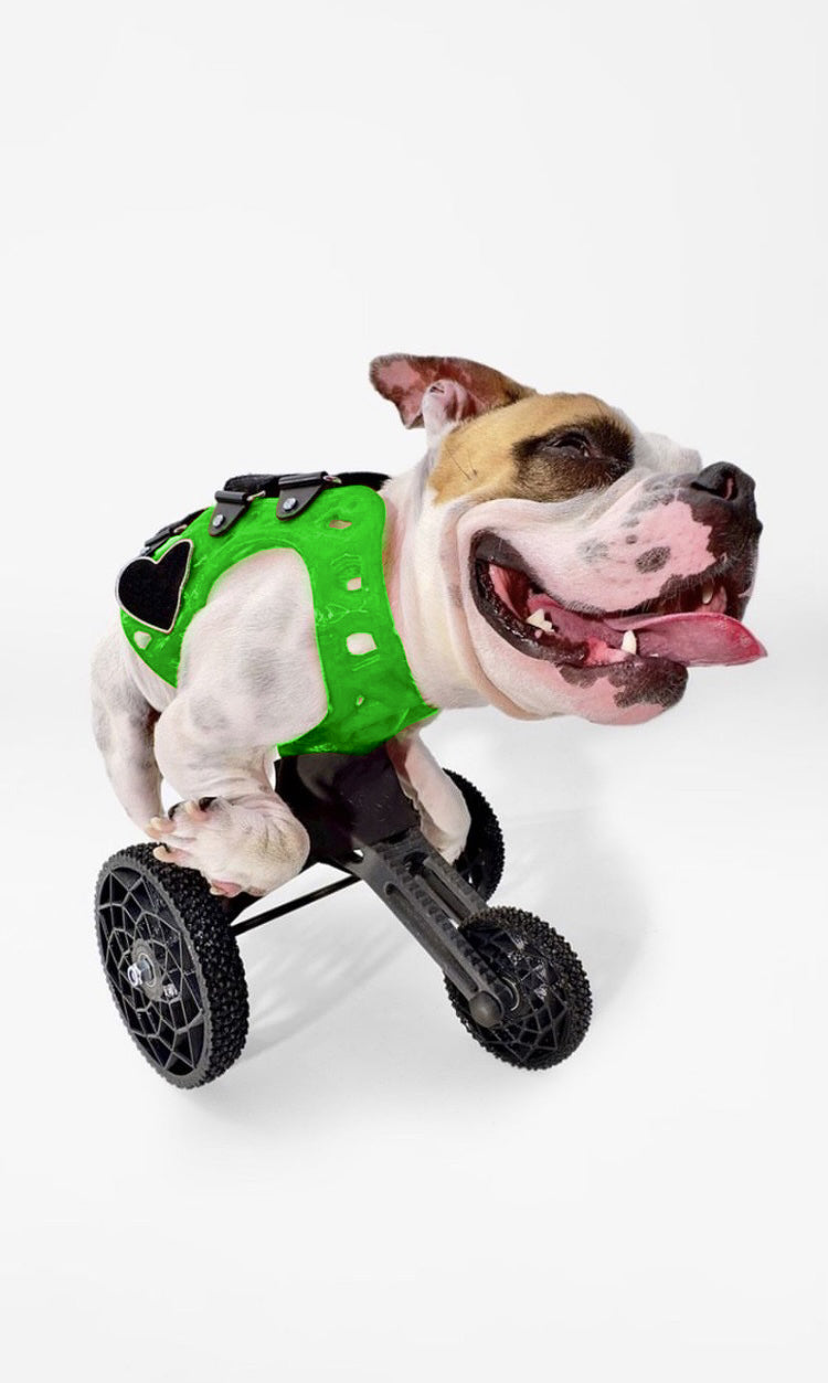 Small Carts (10" or Shorter from Chest to the Ground)