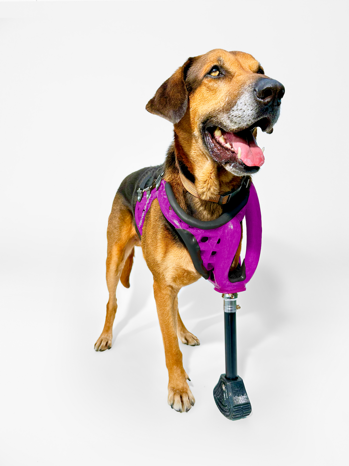 Full-Limb Prosthetic (WITH Shoulder or Remaining Limb)