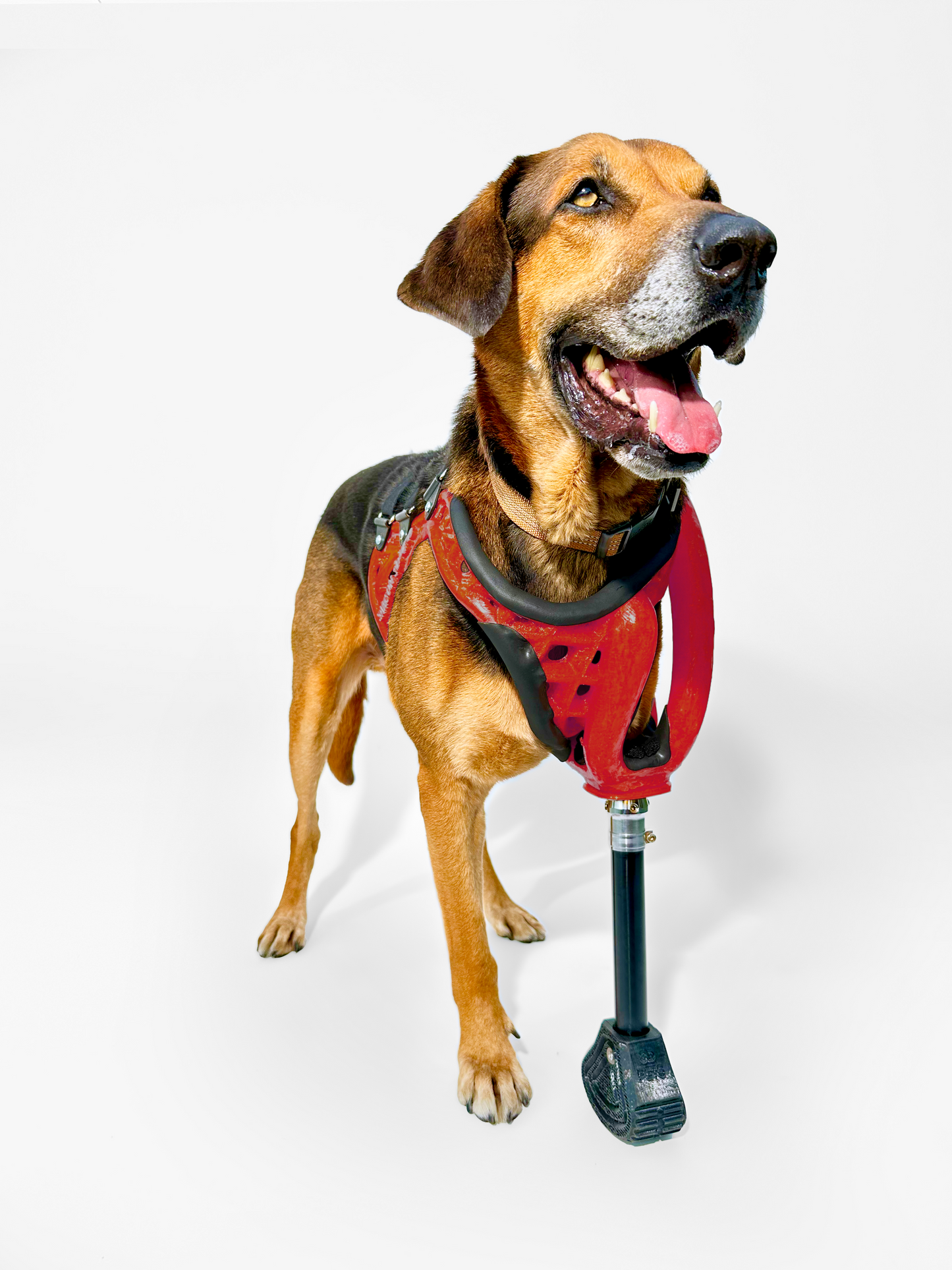 Full-Limb Prosthetic (WITH Shoulder or Remaining Limb)