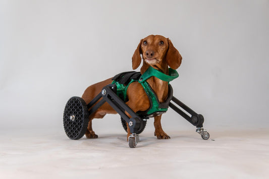 Side-Mount Cart (7" or Shorter from Chest to the Ground) - QUAD Option