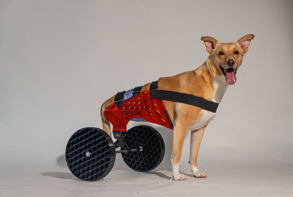 Rear cart (w/ remainders) - AURORA