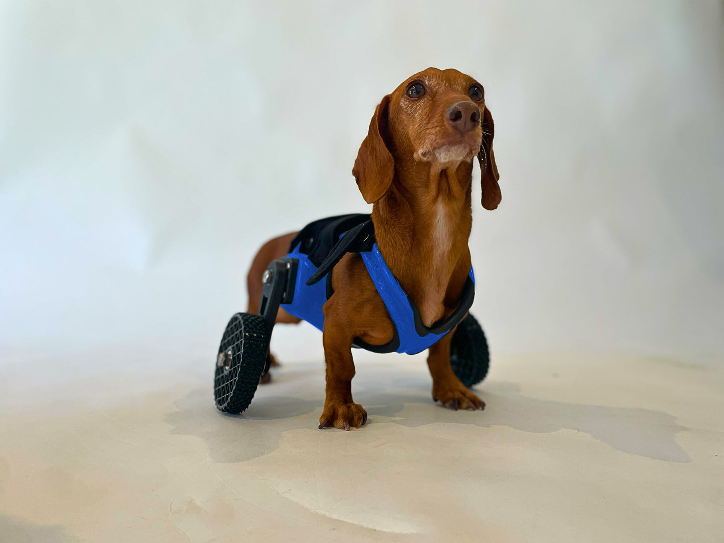 Side-Mount Cart (7" or Shorter from Chest to the Ground)