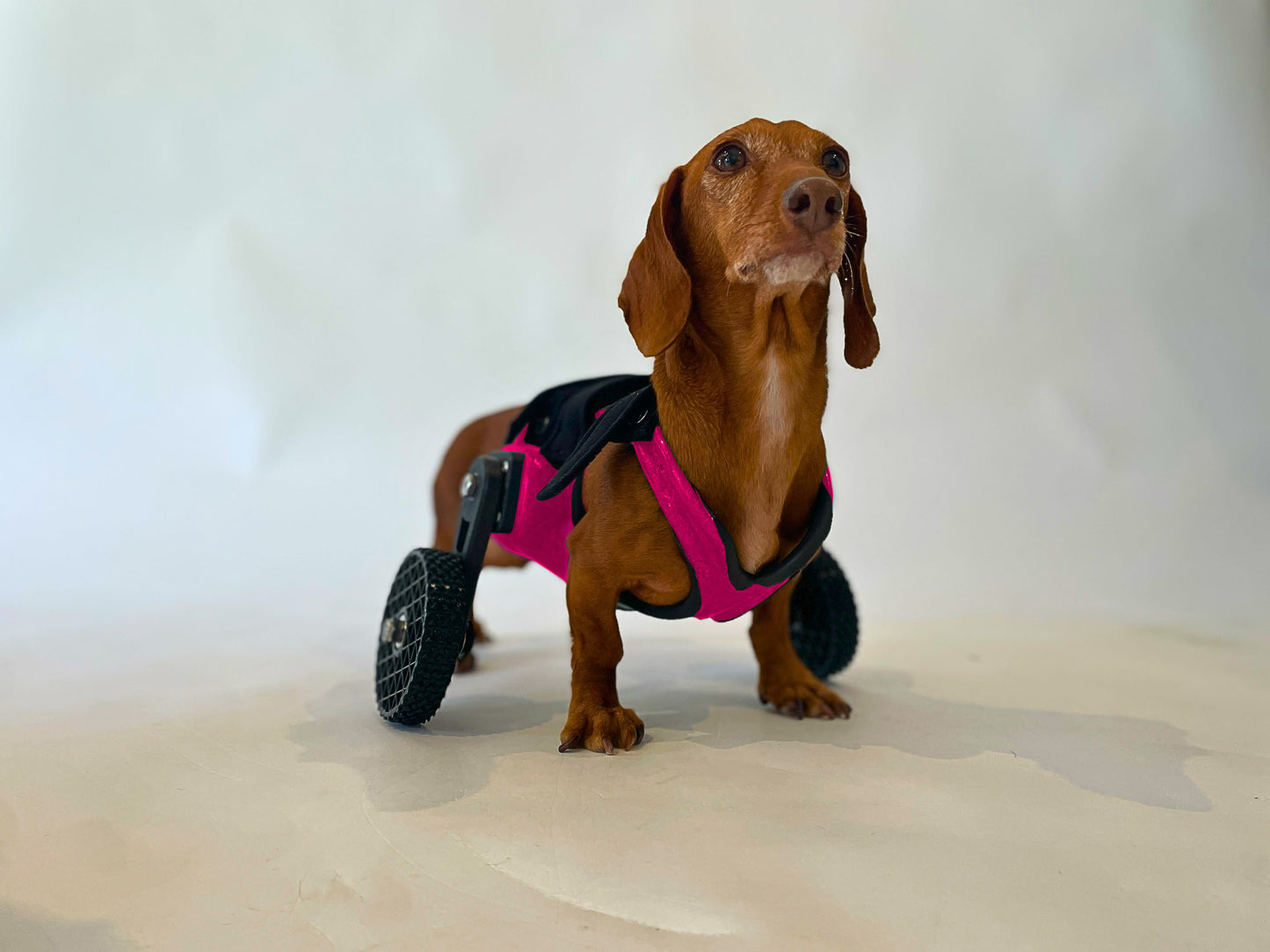 Side-Mount Cart (7" or Shorter from Chest to the Ground)