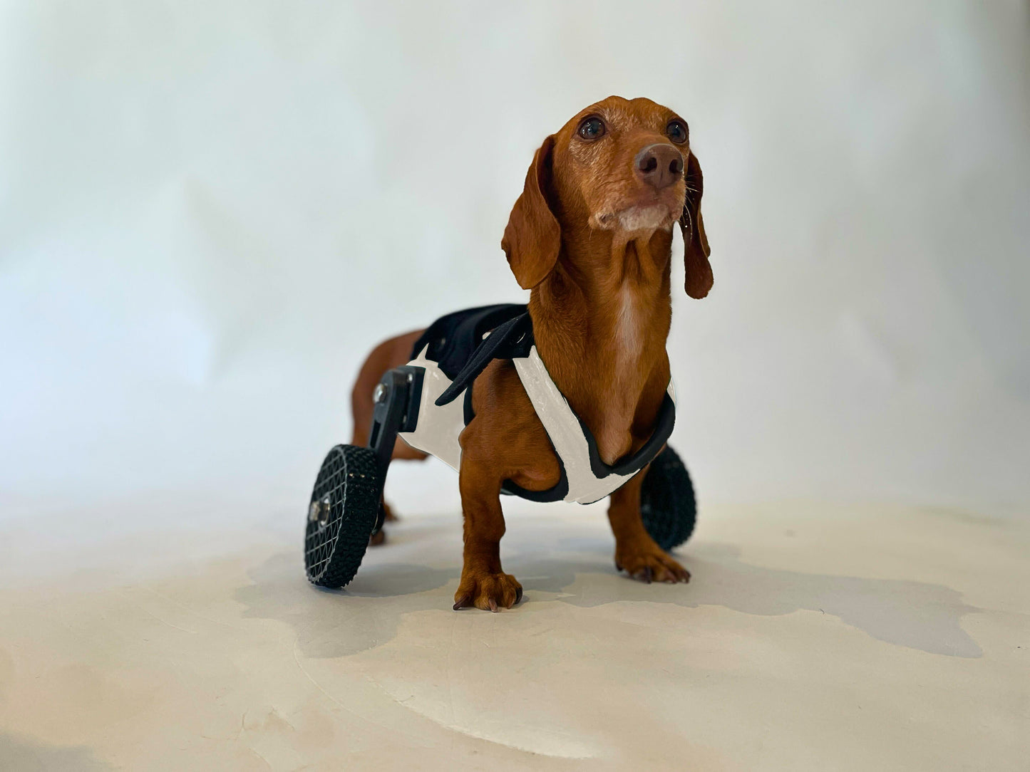 Side-Mount Cart (7" or Shorter from Chest to the Ground)