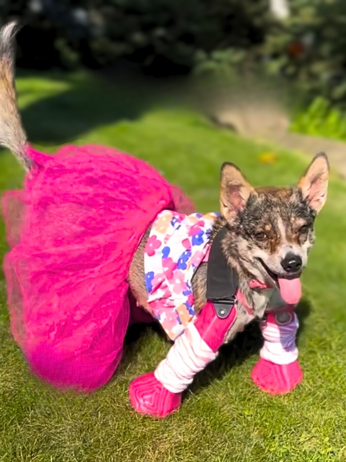 Suspended Partial Limb Prostheses