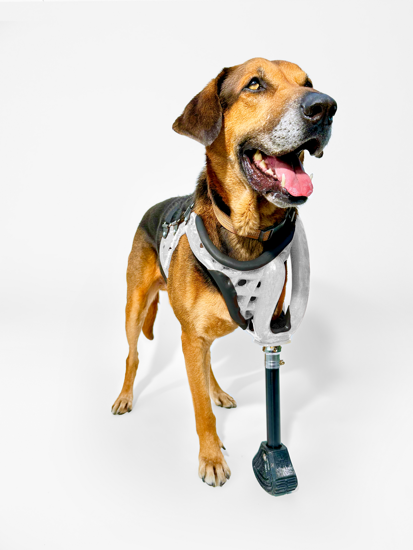 Full-Limb Prosthetic (WITH Shoulder or Remaining Limb)