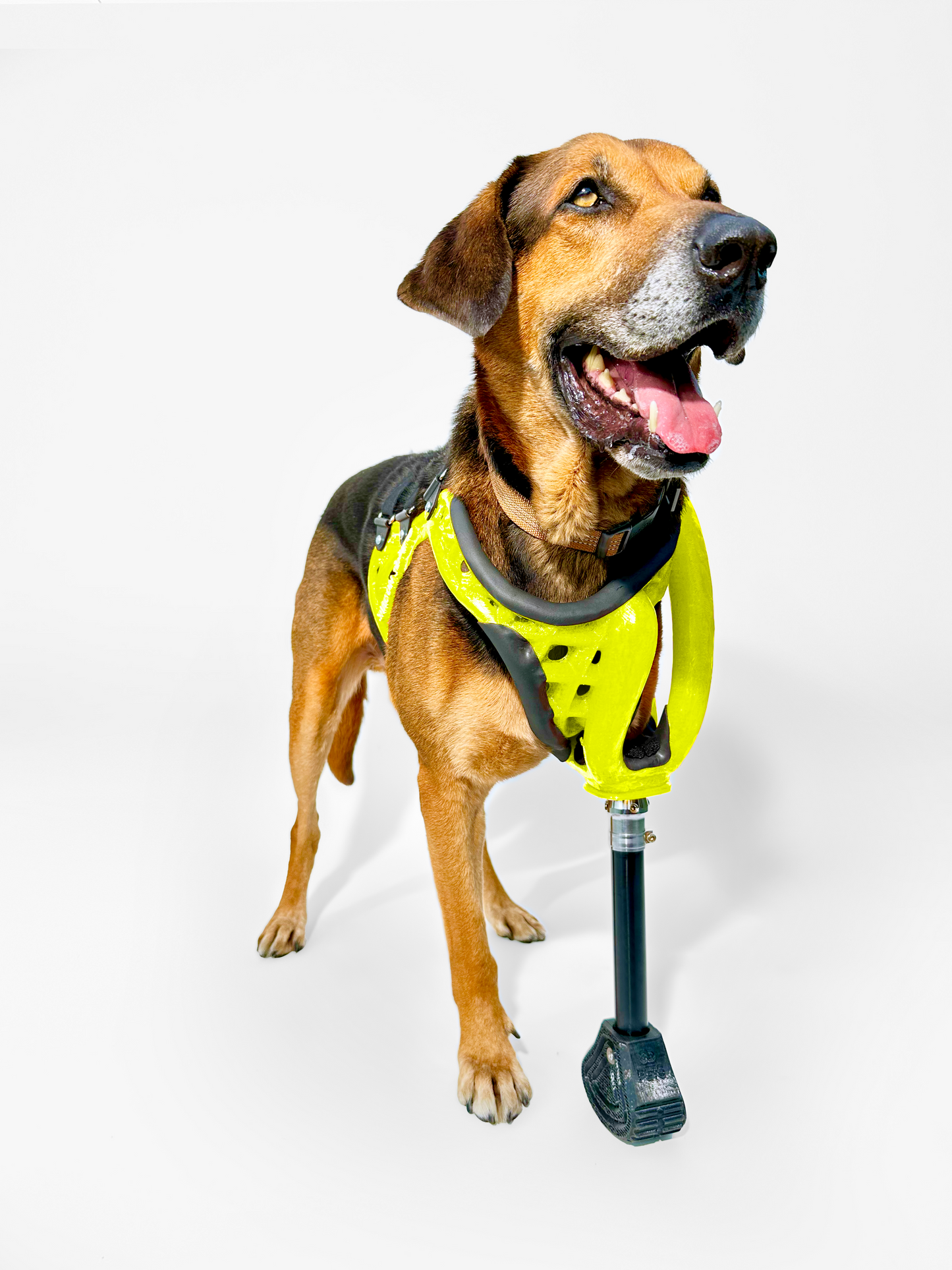 Full-Limb Prosthetic (WITH Shoulder or Remaining Limb)