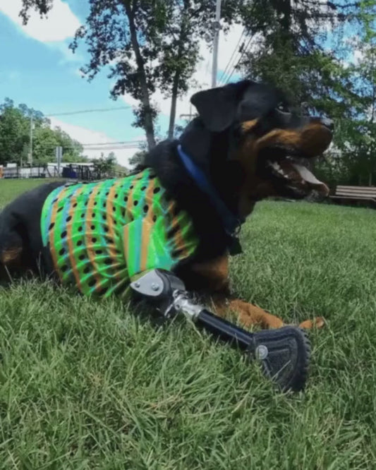 Elbow Joint PRE-ORDER