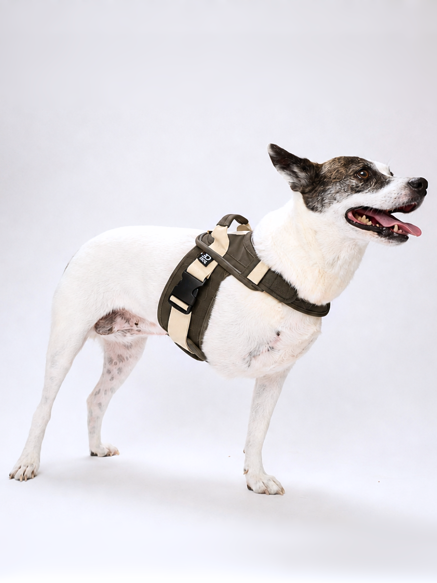 Olive-Green-Dog-Harness